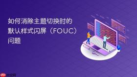 如何消除主题切换时的默认样式闪屏(FOUC)问题
