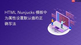 HTML Nunjucks 模板中为属性设置默认值的正确写法