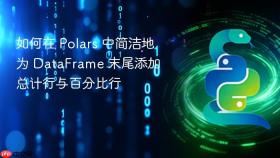 如何在 Polars 中简洁地为 DataFrame 末尾添加总计行与百分比行