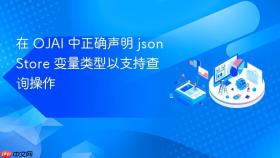 在 OJAI 中正确声明 jsonStore 变量类型以支持查询操作
