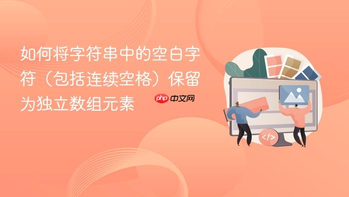 如何将字符串中的空白字符(包括连续空格)保留为独立数组元素