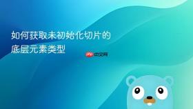 如何获取未初始化切片的底层元素类型