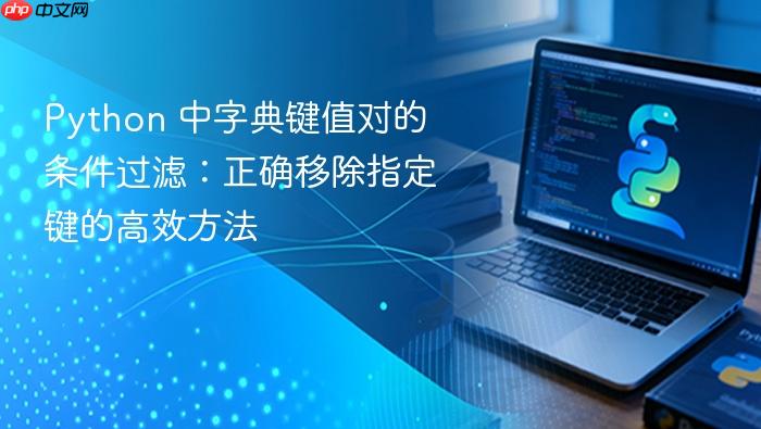 Python 中字典键值对的条件过滤:正确移除指定键的高效方法