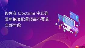 如何在 Doctrine 中正确更新嵌套配置项而不覆盖全部字段
