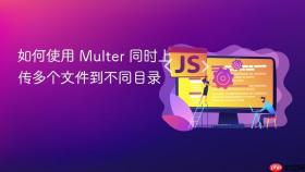 如何使用 Multer 同时上传多个文件到不同目录
