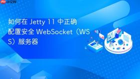 如何在 Jetty 11 中正确配置安全 WebSocket(WSS)服务器