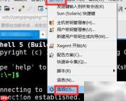 Xshell鼠标快捷粘贴复制