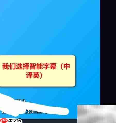 视频自动生成字幕技巧