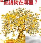摇钱树的财富启示