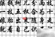 摇钱树的财富启示