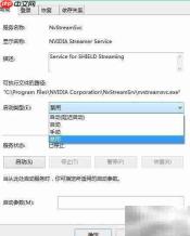 nvstreamsvc.exe错误无法关闭