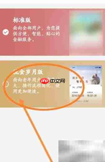 华彩生活切换流金岁月版指南