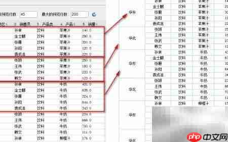 Web报表插件数据展示方式