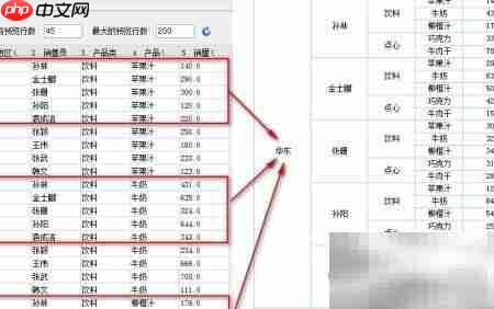 Web报表插件数据展示方式