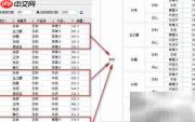 Web报表插件数据展示方式