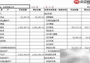 财务软件报表设置指南