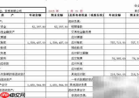 财务软件报表设置指南
