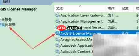 ArcGIS许可管理器启动设置