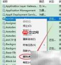 ArcGIS许可管理器启动设置