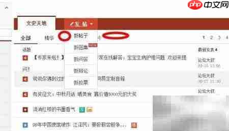 网易论坛会员升级指南