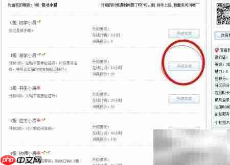 网易论坛会员升级指南