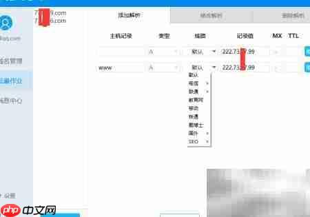 DNS批量解析工具使用指南
