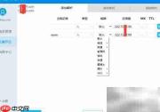 DNS批量解析工具使用指南