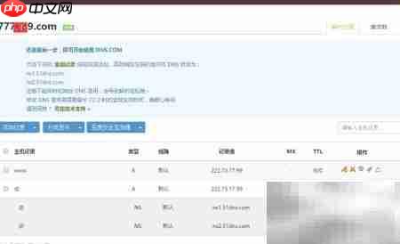DNS批量解析工具使用指南