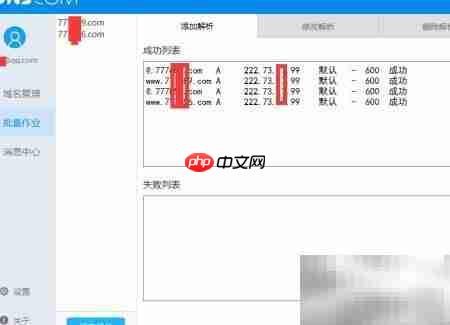 DNS批量解析工具使用指南