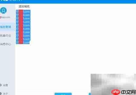 DNS批量解析工具使用指南