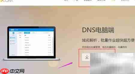 DNS批量解析工具使用指南