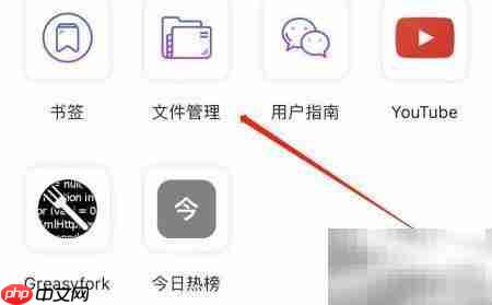 Focus文件管理入口指南
