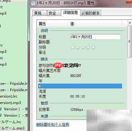 LRC歌词使用指南(全平台)