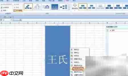 Excel 2015轻松制作族谱