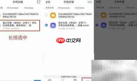 m3u8转mp4 Mac教程