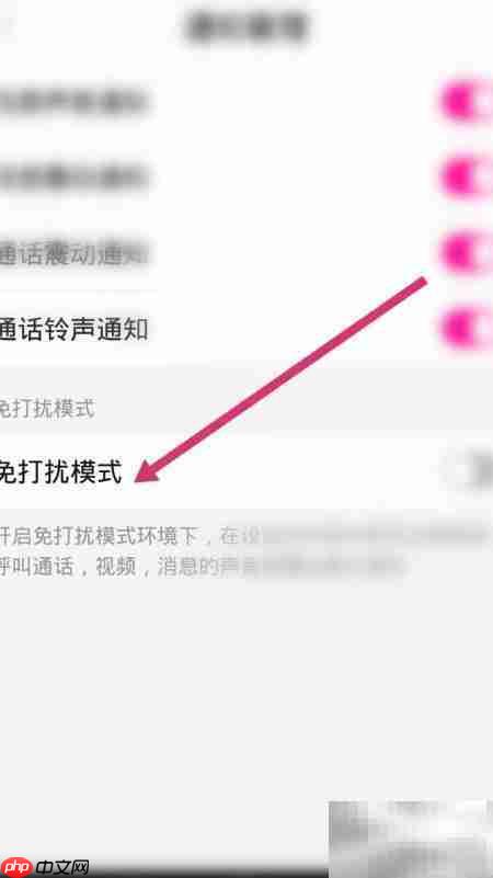 面具聊天免打扰开启指南