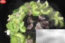 紫苏苦瓜焖肉做法