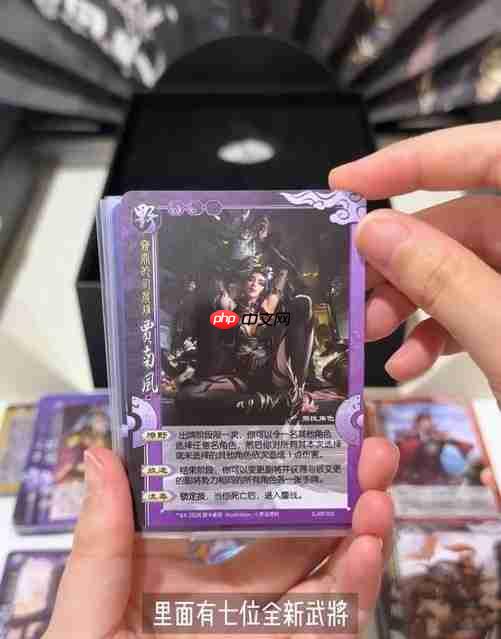 《三国杀》美女新武将贾南风 最丑皇后变为御姐