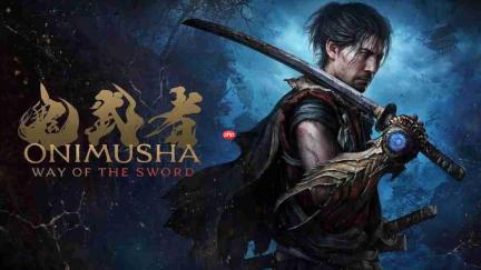 《鬼武者:剑之道》通关需20小时 有两种难度选项