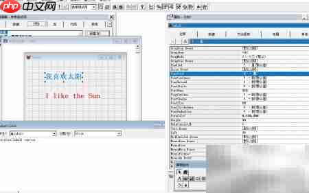 vf6.0表单标签与标题互换