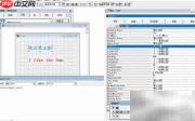 vf6.0表单标签与标题互换