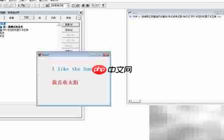 vf6.0表单标签与标题互换