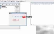 vf6.0表单标签与标题互换