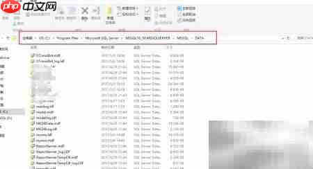 SQL Server数据库恢复方法