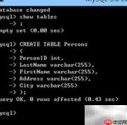 ActiveReports连接MySQL教程