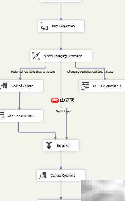 SSIS实现维度表缓慢变化