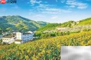乡村振兴资金破解之道