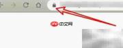 Chrome禁用Flash怎么办