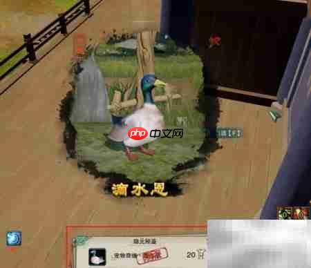 剑三滴水恩奇遇速通攻略