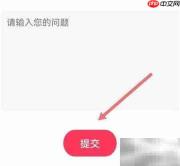 给软件隐藏大师提建议技巧